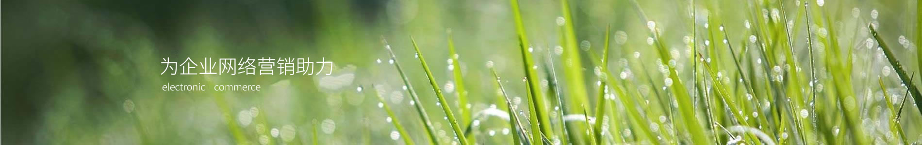 ڻʢ۪֯޹˾